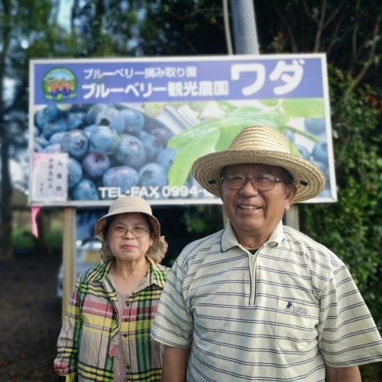 予約販売】 生ブルーベリー 1.2kg【ジューシーな果汁が