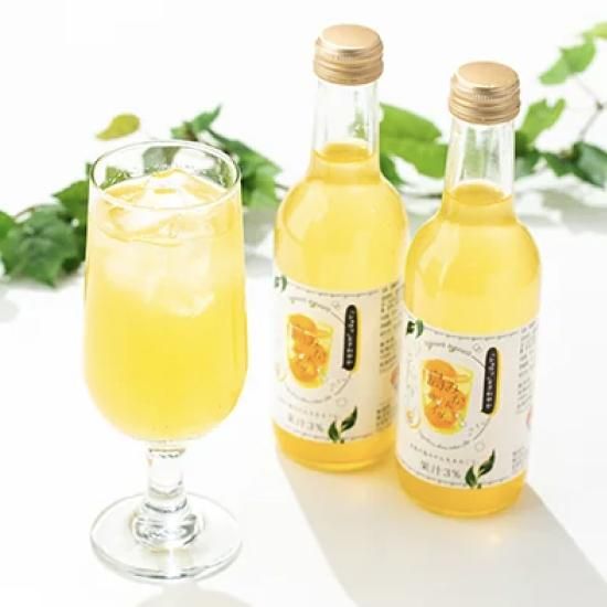 みかんページ 親名・トレーナー名ご指定あり Y 島みかんサイダー 24本セット - レガーレ・ワキタ 【かごしま