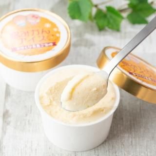 爽やかな香りでスッキリとした味わい！島みかんアイス　6個入