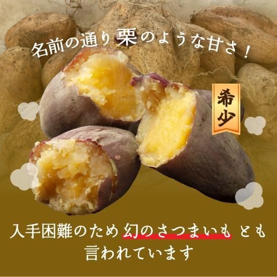 カズ　様。専用。栗黄金（マロンゴールド）苗60本。 Amazon.co.jp: 栗黄金（マロンゴールド）苗20本に なります