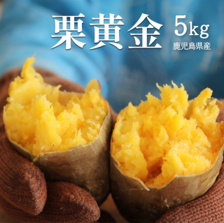 指宿産 栗黄金 5kg 【マロンのようなゴールドカラー】
