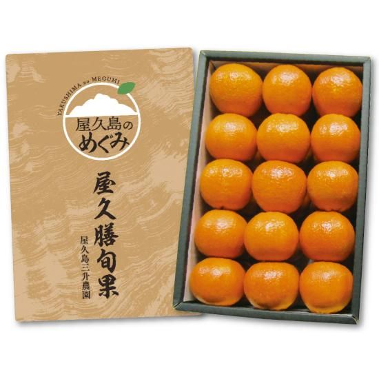 予約受付中＞化粧箱入【贈答用】長寿木たんかん(5kg) - 三升