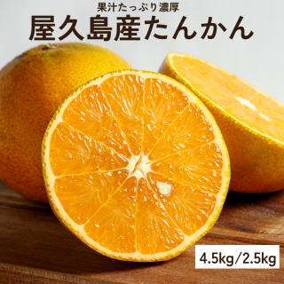 ��ͽ�������� ������ ���󤫤� �ڲ̽����äפꥸ�塼�������� 