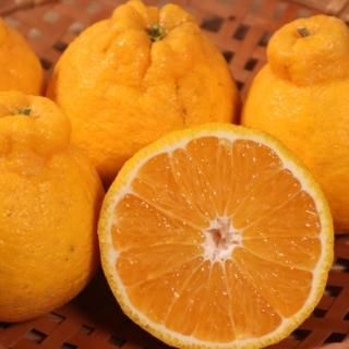 【数量限定！】池之上果樹園の旬の不知火 化粧箱入り約5kg（約15玉）