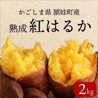 【贈答用】頴娃町産さつまいも 熟成 紅はるか 2kg