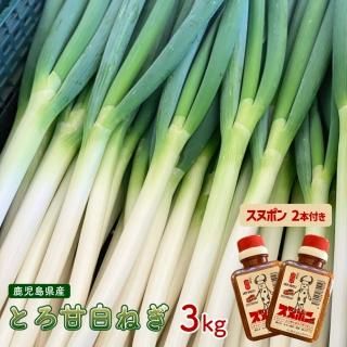 人気の春夏 とろ甘春ねぎ3kg | 【かごしまぐるり】鹿児島の名物 - 鹿児島産 野菜