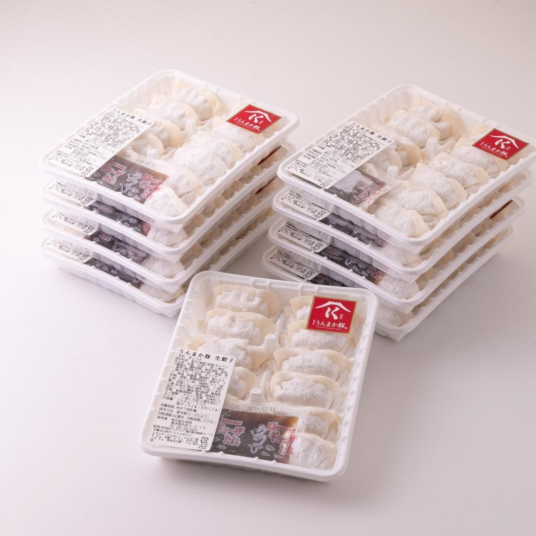 肉の寺師 鹿児島うんまか豚生餃子(計108個・12個入り×9P・タレ付)