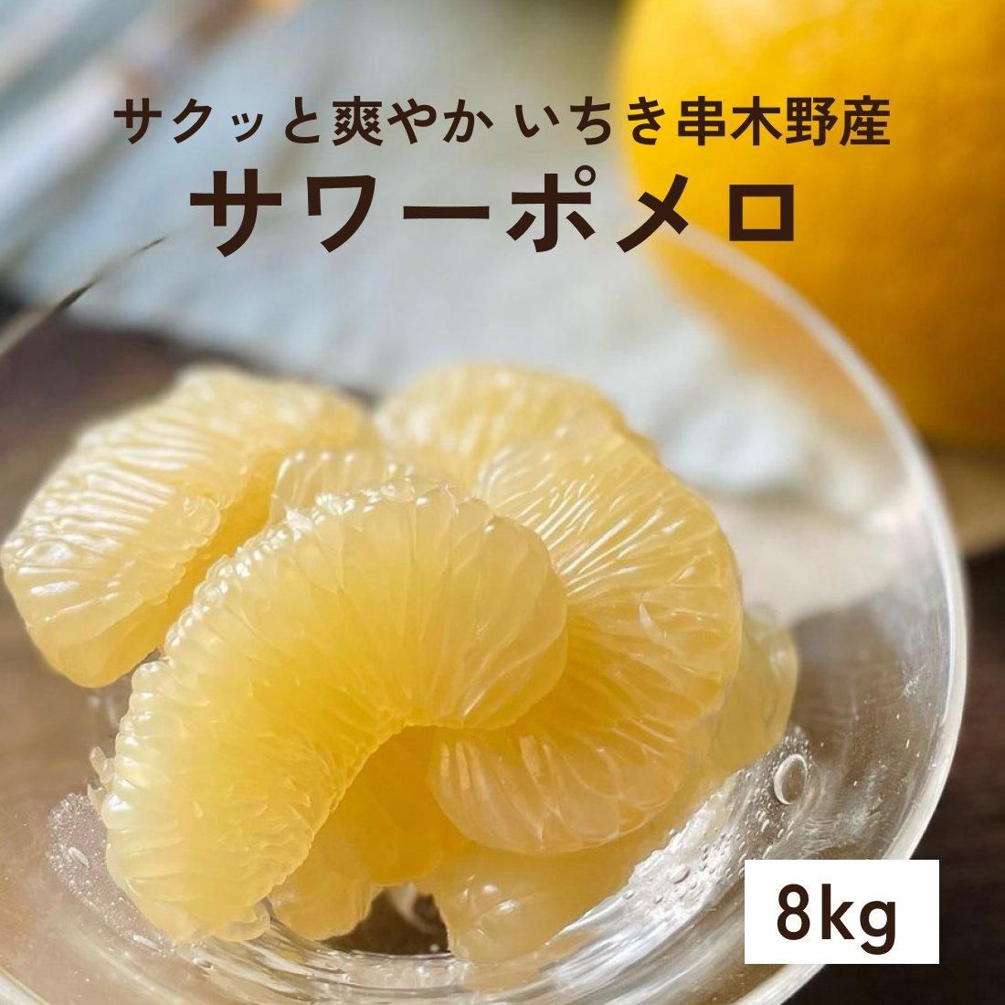 フレッシュで爽やか!いちき串木野産 サワーポメロ - 磯部農園 フレッシュで爽やか!いちき串木野産 サワーポメロ - 磯部農園
