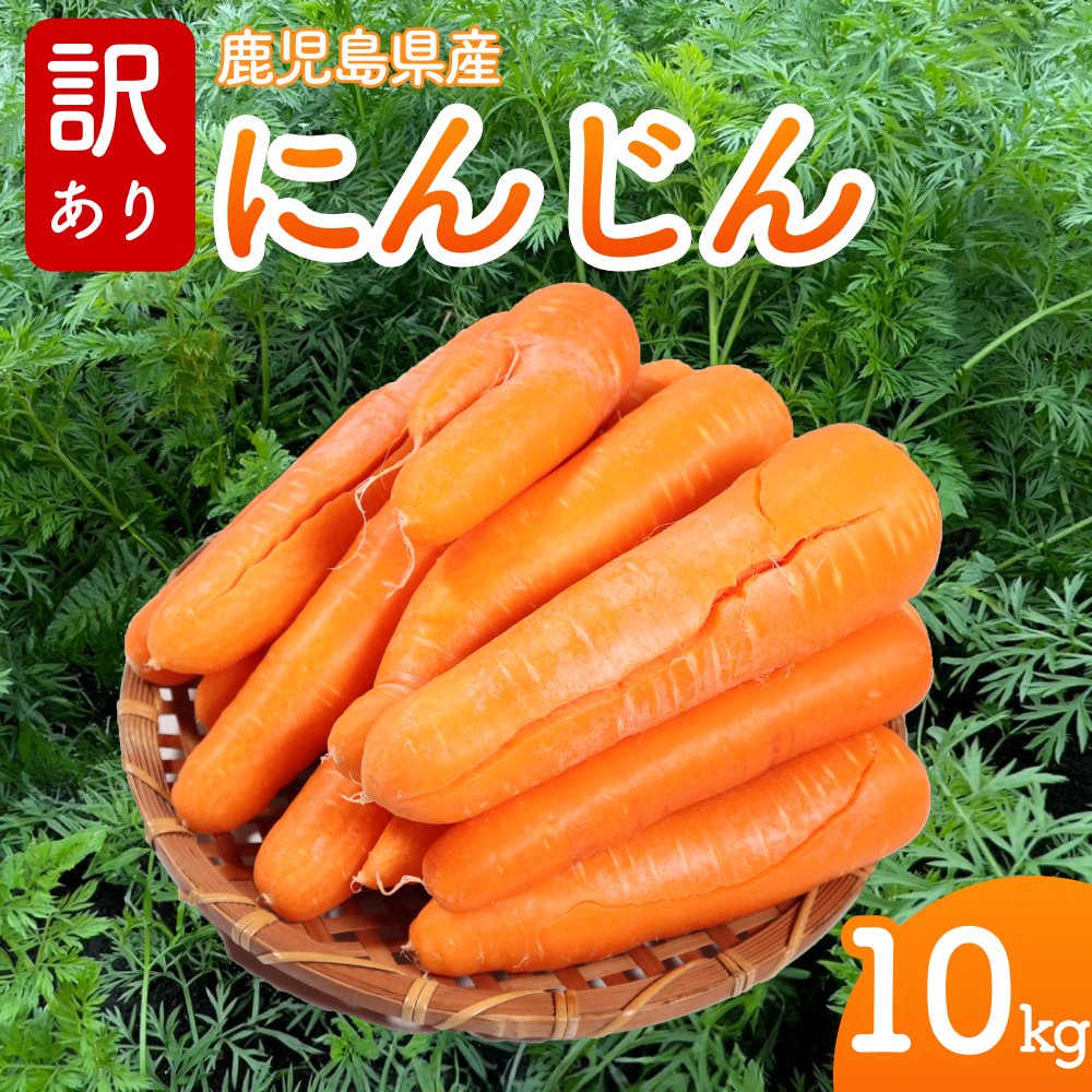 人参訳あり10キロ - 野菜