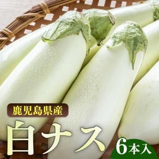  【とろーり甘い！】白ナス  6本入り