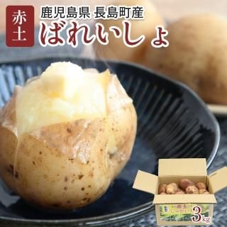 【ホクホク食感】長島町産 赤土ばれいしょ 3kg