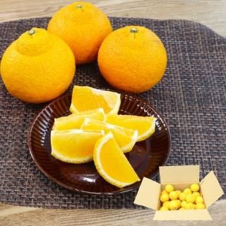 ポンカン化粧箱入り約5kg(約24~30玉) - 池之上果樹園 ポンカン化粧箱入り約5kg(約24~30玉) - 池之上果樹園