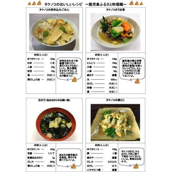 サイズ交換OK】 期間限定) 鹿児島県産 たけのこ 9キロ 無農薬
