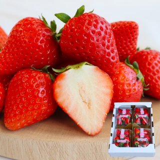 Berry happy  ۤΤ2L4ѥå ֻԻ