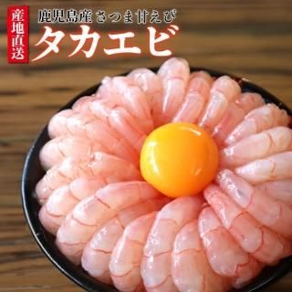 【テレビで話題】タカエビ（薩摩の赤エビ）超プリプリ！刺身用【津曲商店】