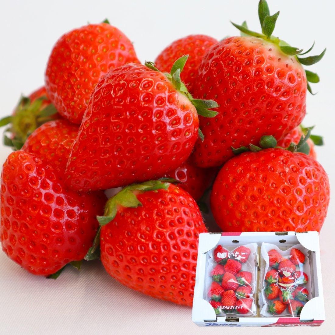 Berryhappy いちご さがほのか特大サイズ2パック日置市産 Berryhappy いちご さがほのか特大サイズ2パック日置市産