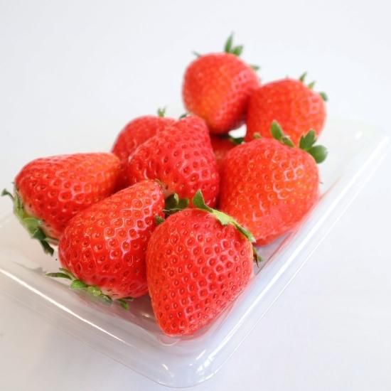 Berryhappy いちご さがほのか特大サイズ2パック日置市産 Berryhappy いちご さがほのか特大サイズ2パック日置市産