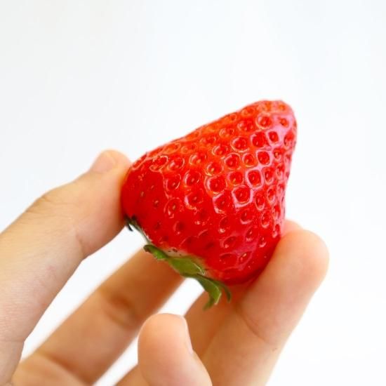 Berryhappy いちご さがほのか特大サイズ2パック日置市産 Berryhappy いちご さがほのか特大サイズ2パック日置市産