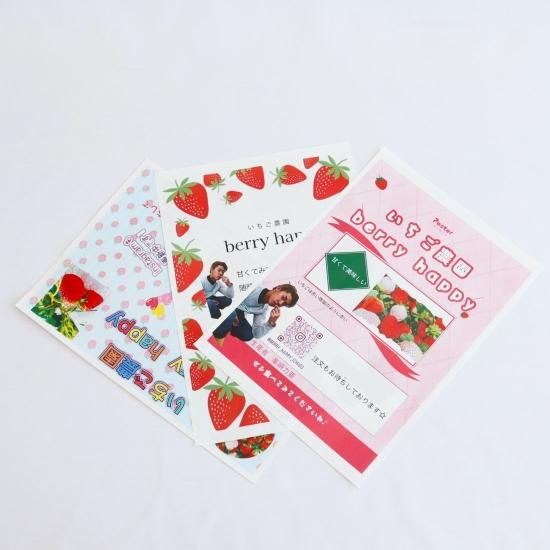 Berryhappy いちご さがほのか特大サイズ2パック日置市産 Berryhappy いちご さがほのか特大サイズ2パック日置市産