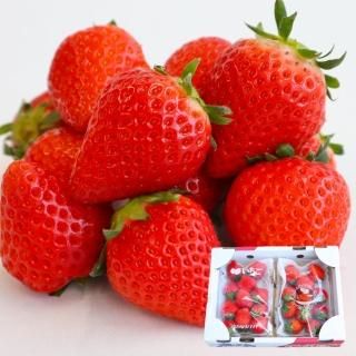 Berryhappy いちご さがほのか特大サイズ2パック日置市産 Berryhappy いちご さがほのか特大サイズ2パック日置市産