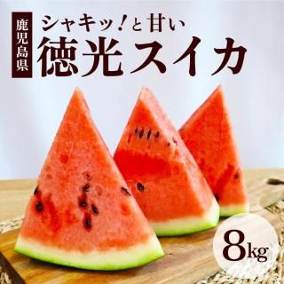 【2025年分予約開始】 徳光スイカ 大玉 8kg以上【シャキシャキ甘い！】