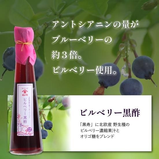 天寿 りんご黒酢　700ml × 3本セット 坂元のくろず・天寿りんご黒酢セット | オンラインショップ