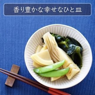 鹿児島県産たけのこ水煮 乱切り 120g×3袋 【竹ん子山】