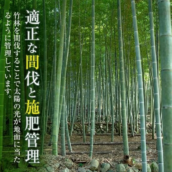 鹿児島県産たけのこ水煮 ハーフ穂先 200g×3袋 【竹ん子山