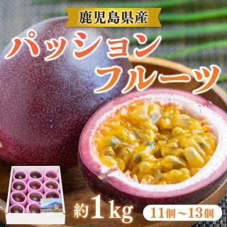 【華やかな香り広がる】指宿産 パッションフルーツ(11~13玉入り)【予約販売】