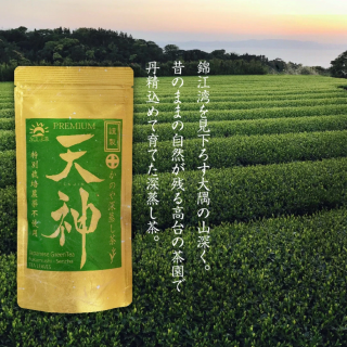 【2025年新茶】かのや深蒸し茶「天神」茶葉100g【西尾製茶】