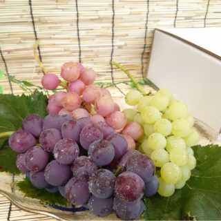 【予約受付中！8月以降順次お届け】旬のぶどう食べ比べ 約2kg【大村ぶどう園】