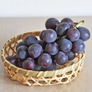 【予約開始！30箱限定】 種無し巨峰 約1kg 【磯部農園】