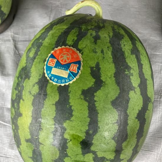 シャキシャキ食感！】 木佐木野スイカ 【竹ん子山】 - 【かごしま