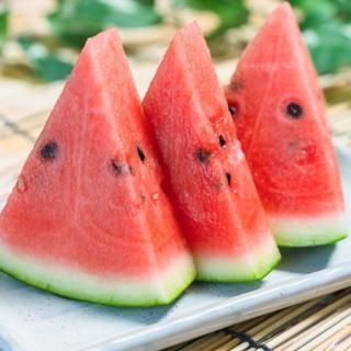 スイカ スイカ でんすけすいか 北海道 当麻産 8～10kg×1玉(3Lサイズ)【送料