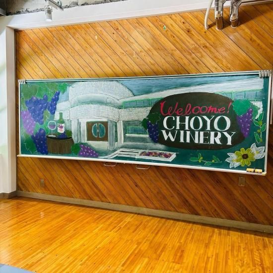 薩摩川内産ぶどうワインセット | 朝陽ワイナリー - 【かごしまぐるり