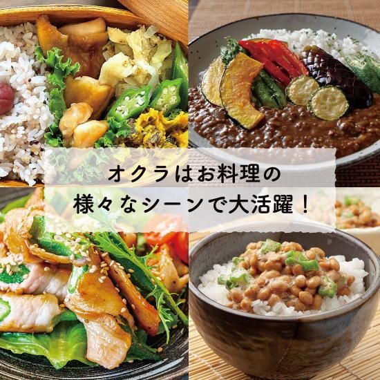 形不揃いでも味はバツグン！】 規格外オクラ 1kg 【内薗ファーム
