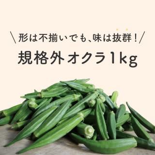 【形不揃いでも味はバツグン！】 規格外オクラ 1kg 【内薗ファーム】
