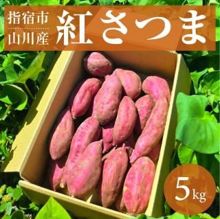 【2025新芋登場！】山川産さつまいも 紅さつま 5kg