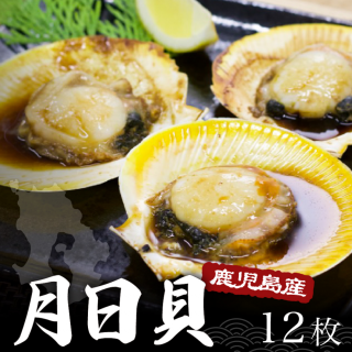 【濃厚な旨み！】日置市吹上浜産 月日貝 12枚入り 冷凍 【テレビで話題！】