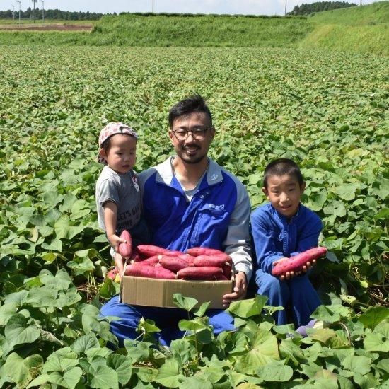 頴娃町産さつまいも | 栗かぐや 2kg - 【かごしまぐるり】鹿児島の名物