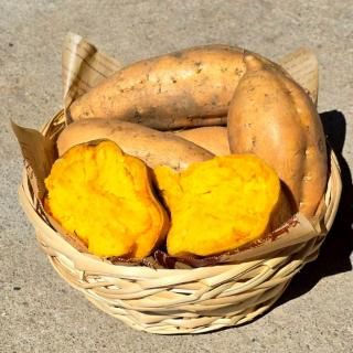 指宿 山川産 訳アリ 栗黄金 5kg 【マロンのようなゴールドカラー】