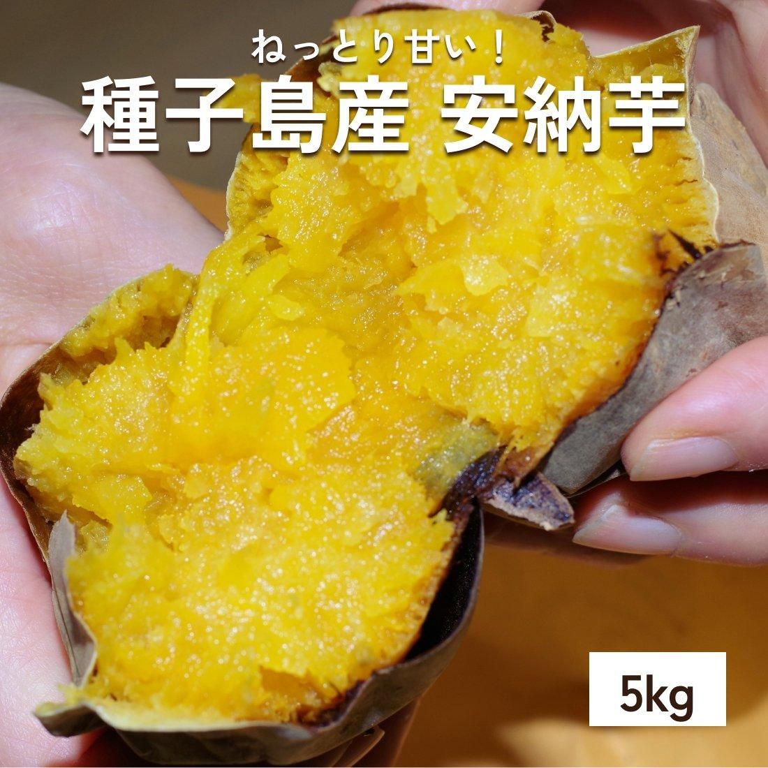 安納芋 5kg | 種子島産 | 予約販売 - 【かごしまぐるり】鹿児島 安納芋 5kg | 種子島産 | 予約販売 - 【かごしまぐるり】鹿児島