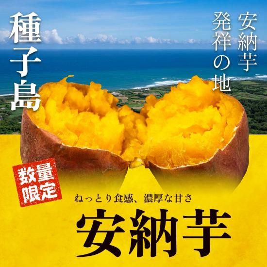 安納芋 5kg | 種子島産 | 予約販売 - 【かごしまぐるり】鹿児島 安納芋 5kg | 種子島産 | 予約販売 - 【かごしまぐるり】鹿児島