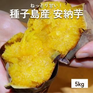 種子島産 安納芋 5kg 【ねっとり甘～い！】