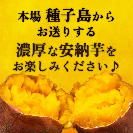 予約販売】 種子島産 安納芋5kg(B品・サイズ混合)【ねっとり甘 予約販売】 種子島産 安納芋5kg(B品・サイズ混合)【ねっとり甘