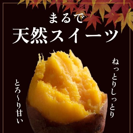 予約販売】 種子島産 安納芋5kg(B品・サイズ混合)【ねっとり甘 予約販売】 種子島産 安納芋5kg(B品・サイズ混合)【ねっとり甘