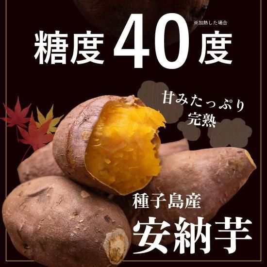 予約販売】 種子島産 安納芋5kg(B品・サイズ混合)【ねっとり甘 予約販売】 種子島産 安納芋5kg(B品・サイズ混合)【ねっとり甘