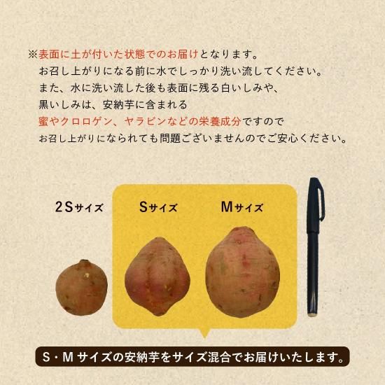 予約販売】 種子島産 安納芋5kg(B品・サイズ混合)【ねっとり甘 予約販売】 種子島産 安納芋5kg(B品・サイズ混合)【ねっとり甘