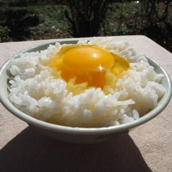 オーガニック卵 | お多福たまご - 【かごしまぐるり】鹿児島の