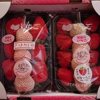  【10セット限定】3品種いちご食べ比べ 約300g×2パック【予約販売】